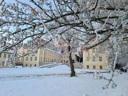 Weihnacht am Schloss1 ergebnis