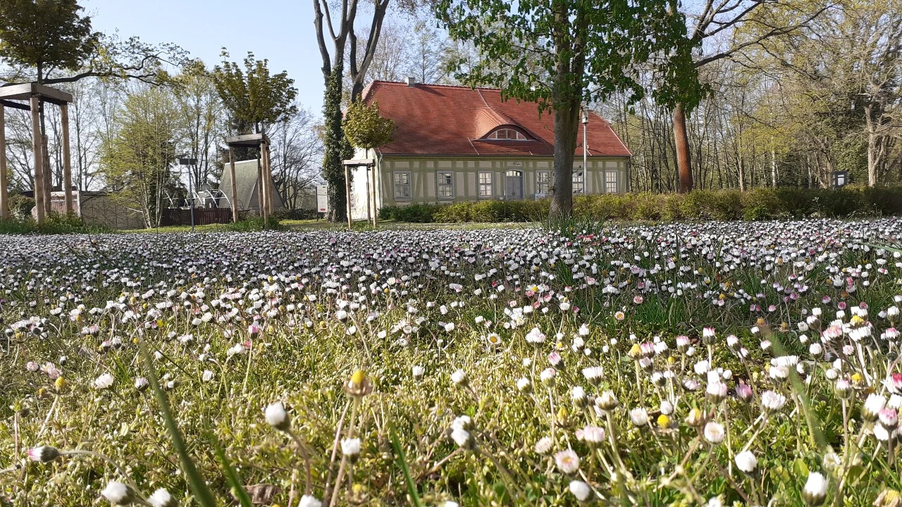 Bibliothek Frühling