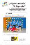 landesfinale wkII handballw2 2012k